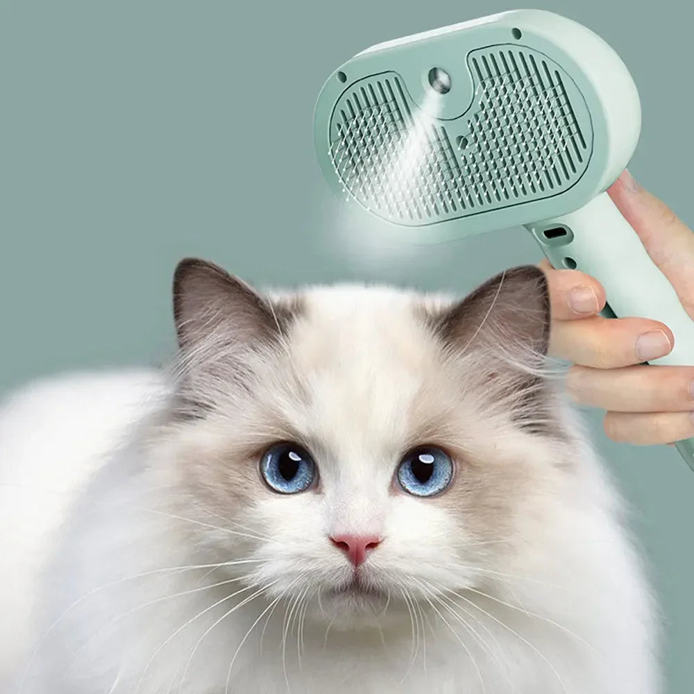 Best Grooming Routine for Cats at Home (No Bath Required)
