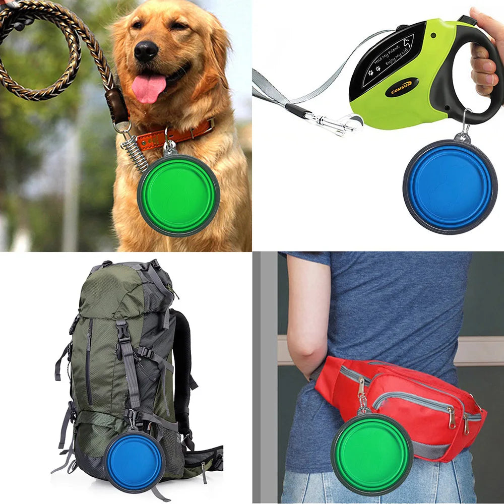 Collapsible Silicone Pet Travel Bowl – Portable with Carabiner Clip