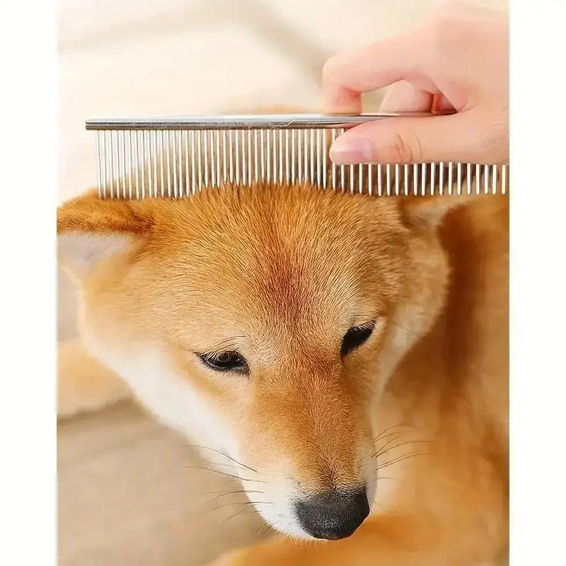 Round-tip safety scissors for pet grooming
